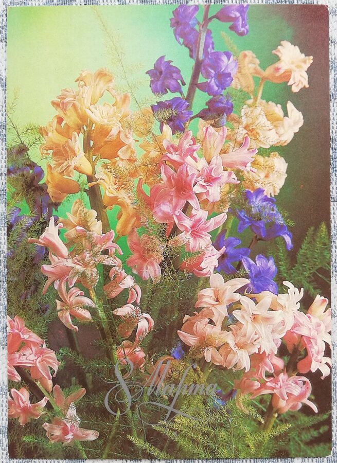«8 марта» 1987 поздравительная открытка СССР Букет гиацинтов 10,5x15 см 