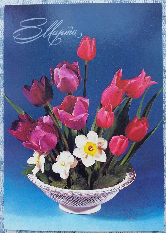 «8 марта» 1982 поздравительная открытка CССР Красные тюльпаны и жёлтые нарциссы 10,5x15 см  