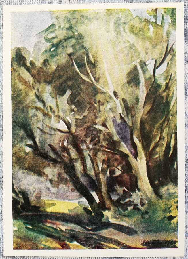 Jānis Kīns 1961. gada pastkarte "Koki" 10,5x15 cm  