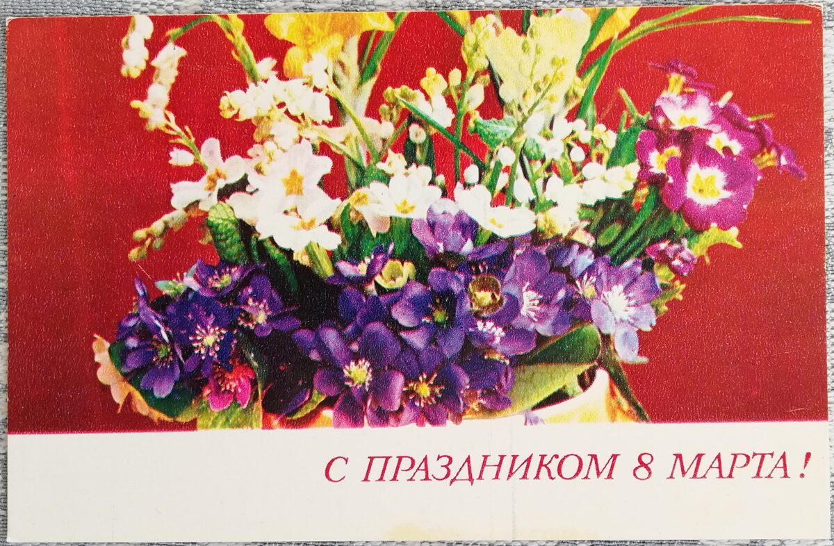 «8 марта» 1974 открытка СССР 14x9 см Примула  