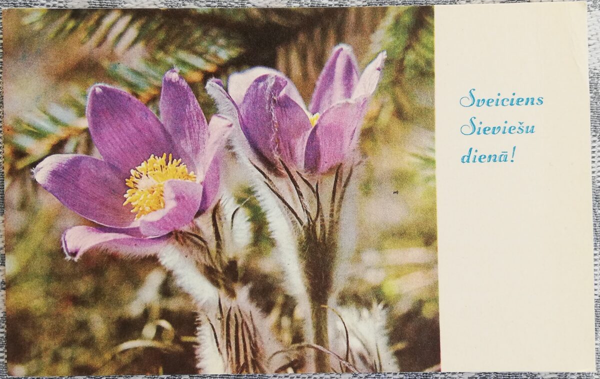 «8 марта» 1974 открытка СССР 14x9 см Фиолетовые цветы  