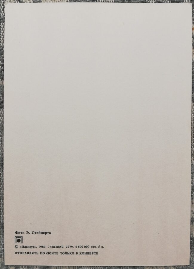 «С днём рождения!» 1989 Ромашки и васильки 10,5x15 см открытка СССР    