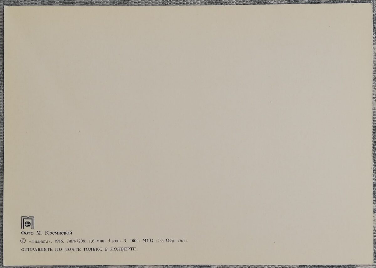 С днём рождения! 1986 Ромашки и васильки 15x10,5 см открытка СССР  