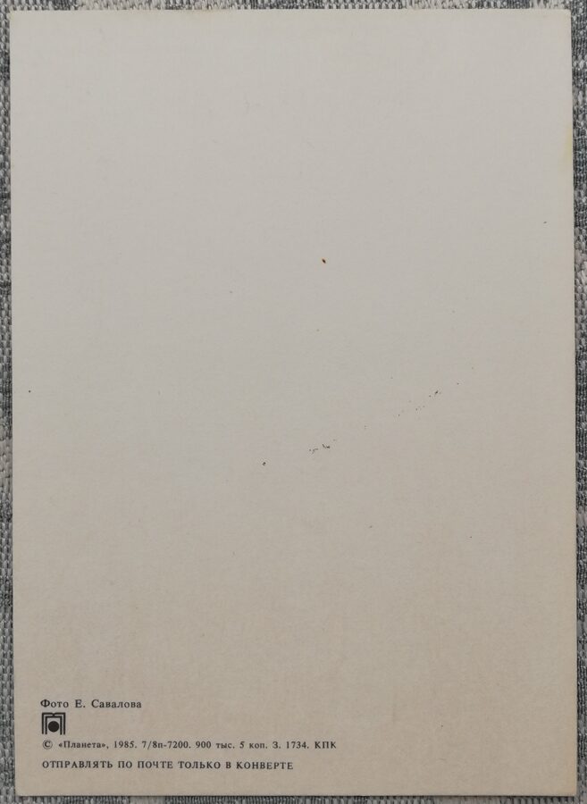 С днём рождения! 1985 Душистый горошек 10,5x15 см открытка СССР  