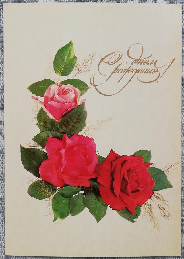 "Daudz laimes dzimšanas dienā!" 1982. gada rozā un sarkanas rozes 10,5x15 cm pastkarte PSRS  