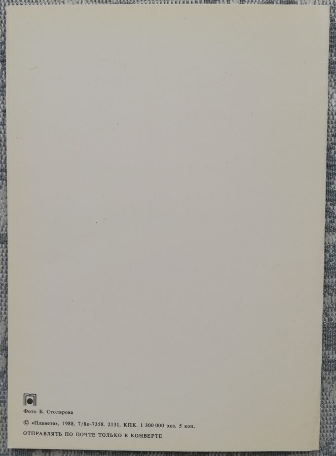 «С днём рождения!» 1988 Астры и ромашки 10,5x15 см открытка СССР   