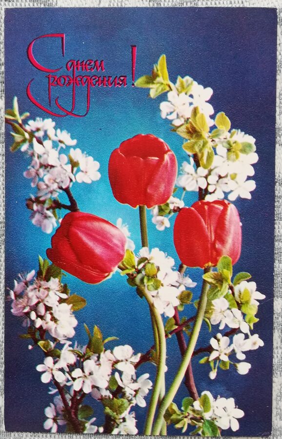 "Happy birthday!" 1975 Blooming apple tree and tulips 9x14 cm postcard USSR  