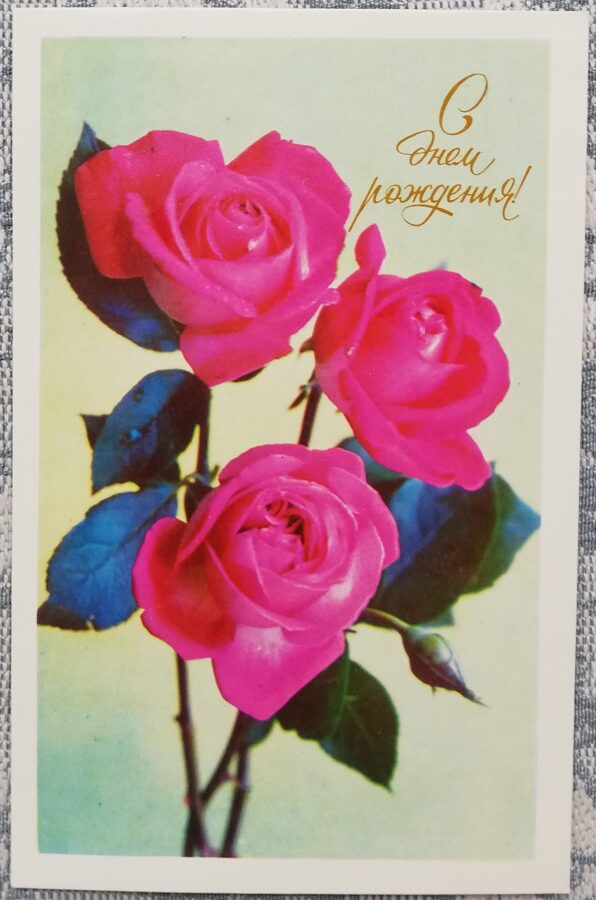 "Happy birthday!" 1975 Pink roses 9x14 cm postcard USSR  
