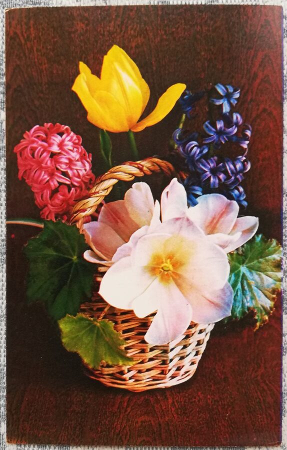 "Happy birthday!" 1975 Basket with hyacinths 9x14 cm postcard USSR  