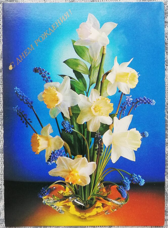 "Happy birthday!" 1985 Daffodils 10.5x15 cm USSR postcard 