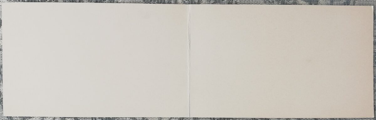 «С днём рождения!» 1989 Букет гвоздик 15,5x9,5 см открытка СССР  