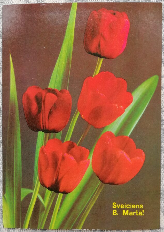 «С праздником 8 марта!» 1988 открытка СССР 10,5x15 см Красные тюльпаны  