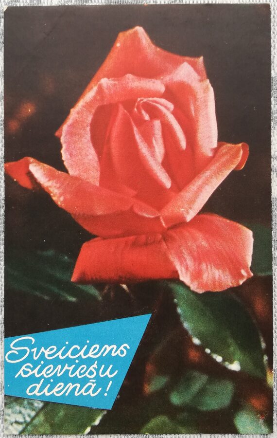 «С женским днем!» 1962 Латвия открытка СССР 9x14,5 см Красная роза    