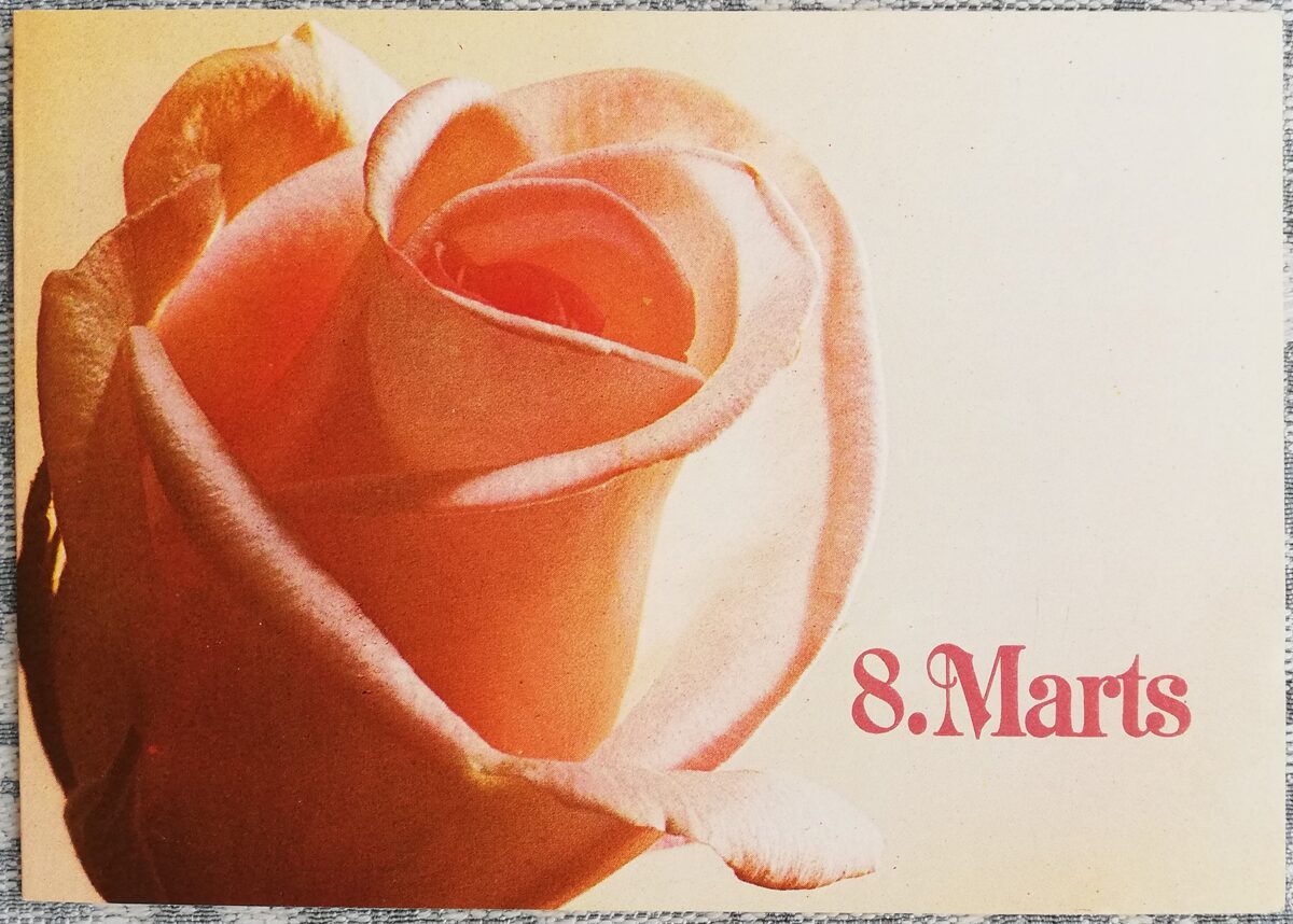 «8 марта!» 1987 открытка СССР 15x10,5 см Розовая роза    
