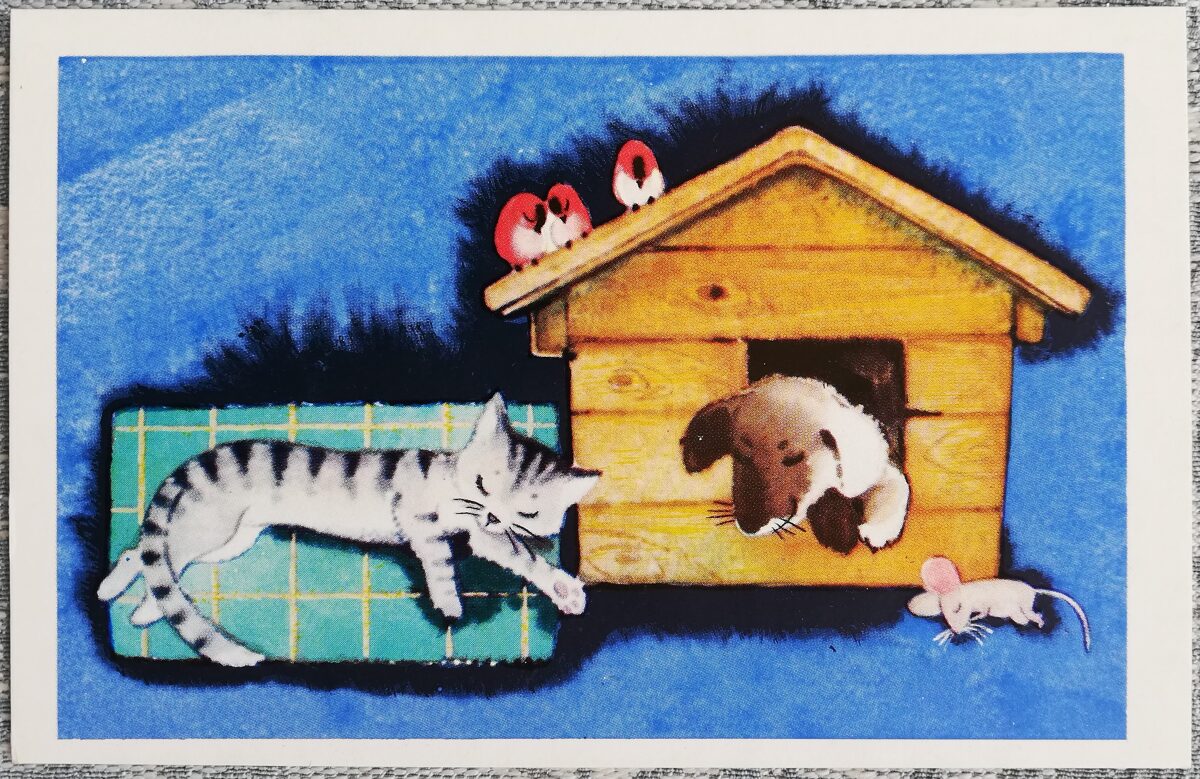 Детская открытка 1972 Котёнок и собака в будке 14x9 см открытка СССР  