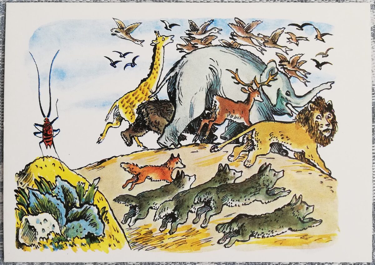 Pastkarte bērniem 1969 Ūsains tarakāns 15x10,5 cm PSRS pastkarte 