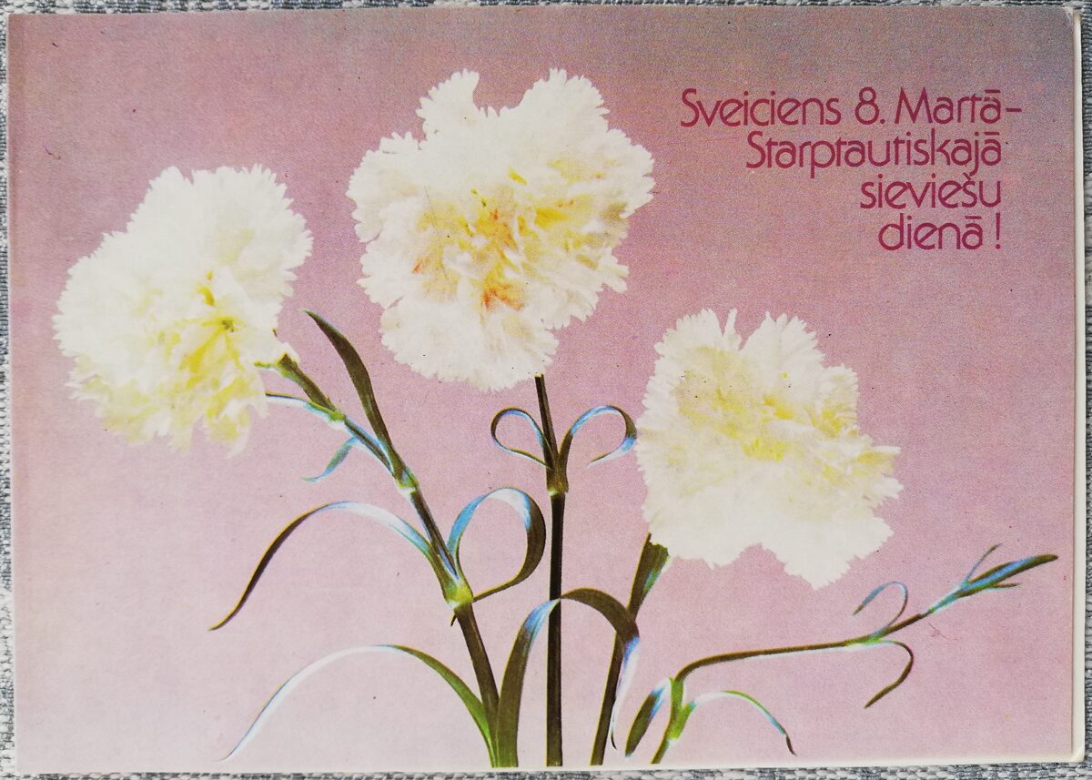 «8 марта» 1989 Белые гвоздики 15x10,5 см открытка СССР  