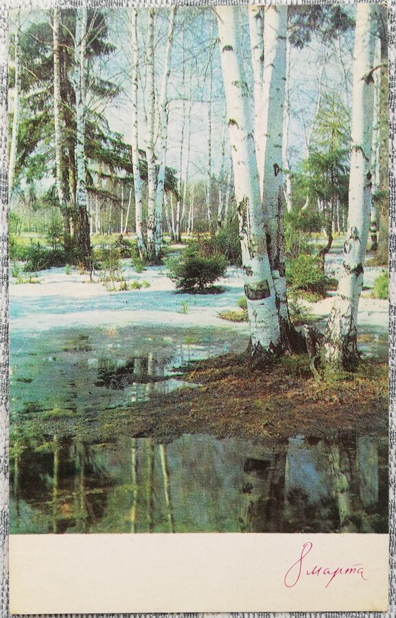 «8 марта» 1969 Весенний лес 8,5x13,5 см открытка СССР  