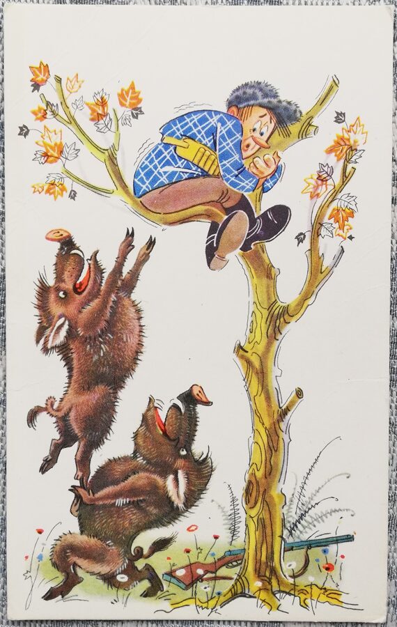 Детская открытка 1968 Охотник и кабаны свинина 9x14 см открытка СССР    