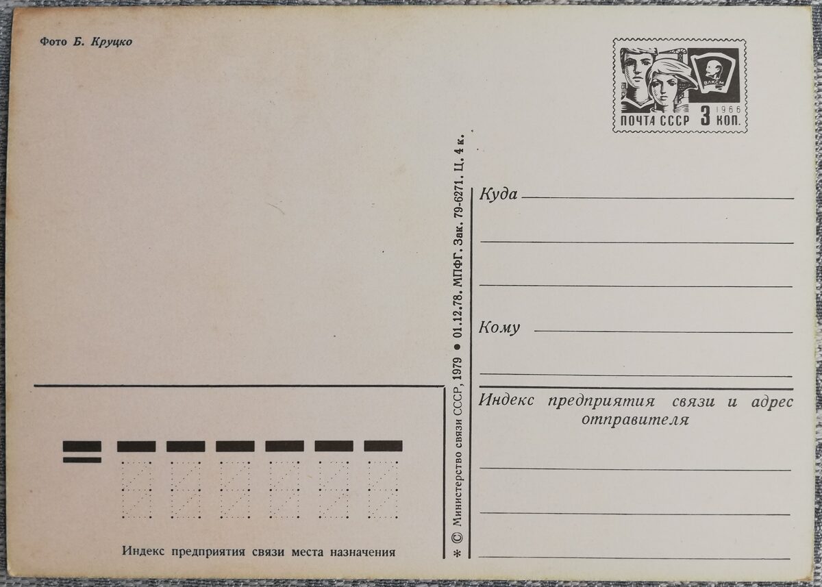 "Congratulations!" 1979 Daisies and fern 10.5x14.5 cm USSR art postcard  