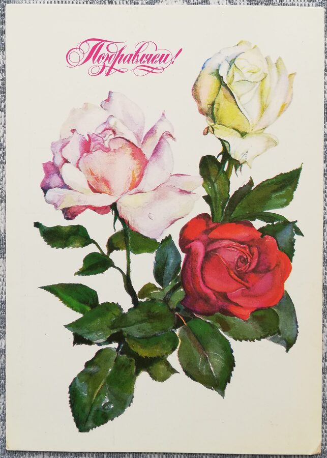 "Congratulations!" 1982 Three roses 10.5x14.5 cm art postcard USSR  