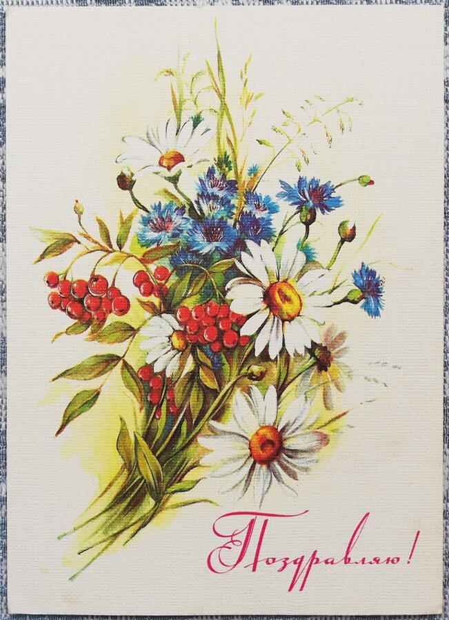"Congratulations!" 1985 Daisies and cornflowers 10.5x15 cm USSR art postcard  
