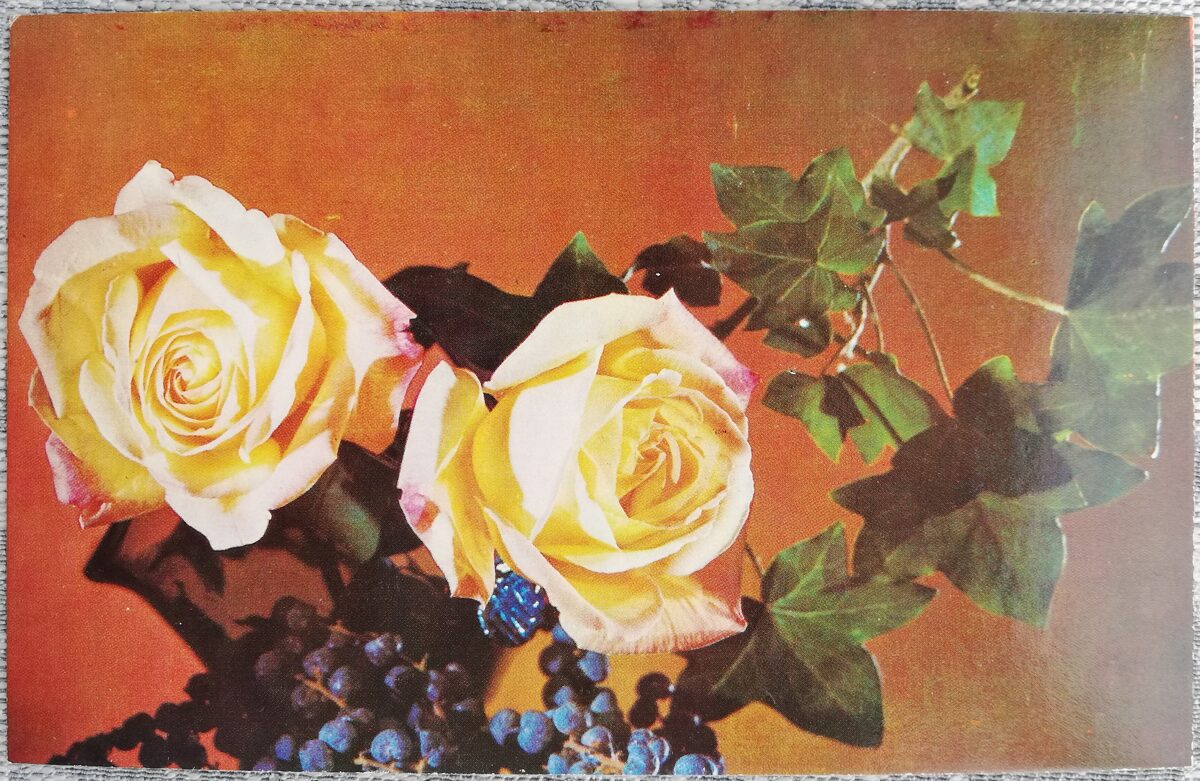 1975 Rozes un tumšās vīnogas 14x9 cm ziedi PSRS pastkarte  