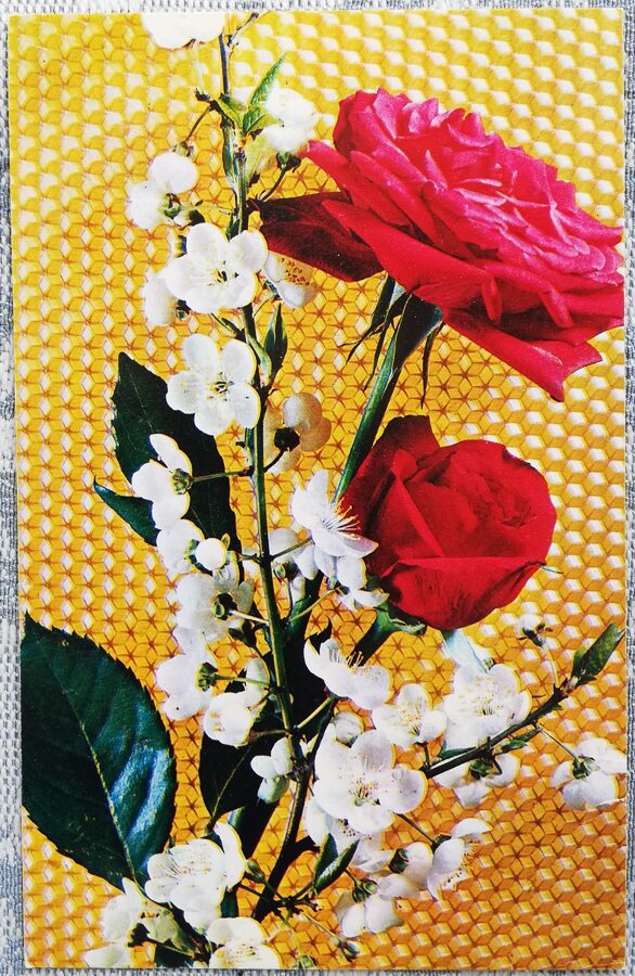 1975 Ķiršu ziedi un rozes 9x14 cm ziedi pastkarte PSRS  