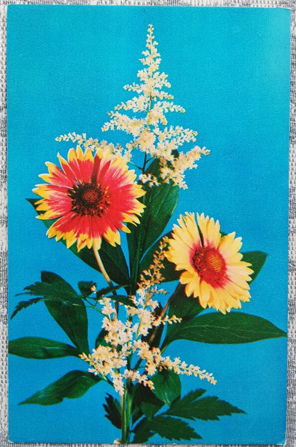1975 Ziedi uz zila fona 9x14 cm ziedi pastkarte PSRS  