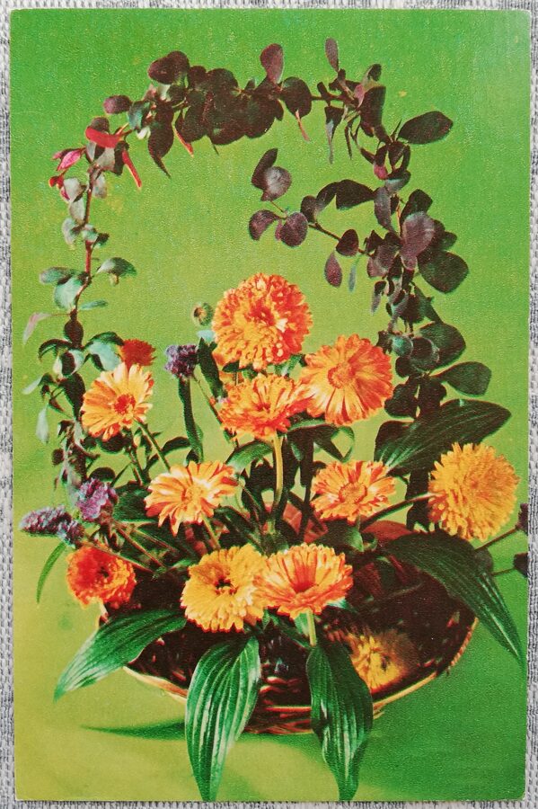 1975 Zelta rudens 9x14 cm ziedu pastkarte PSRS  