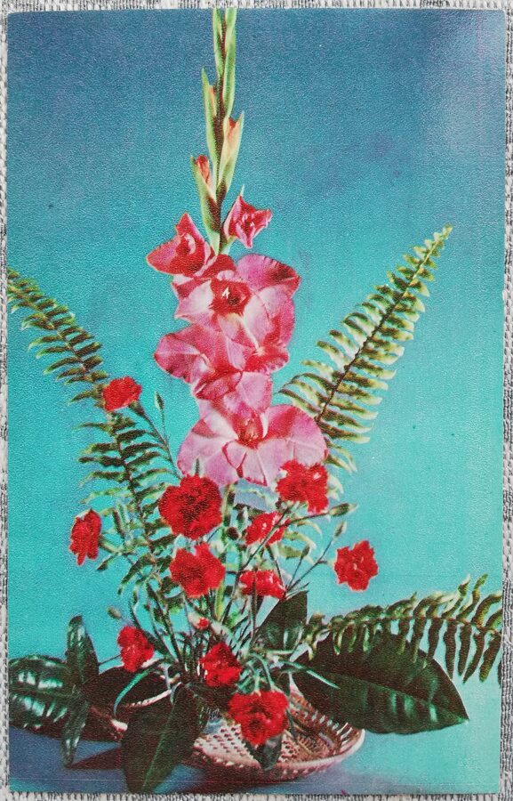 1975 Gladiolas un neļķes 9x14 cm ziedi PSRS pastkarte  