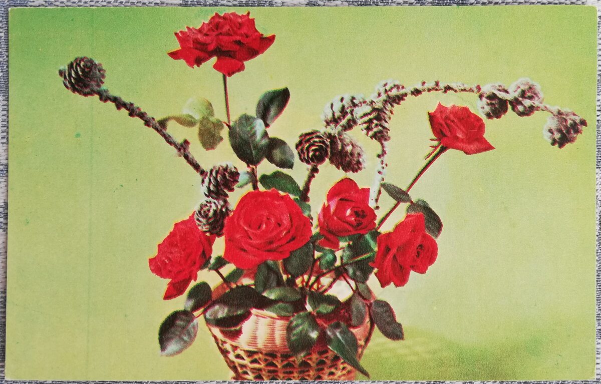 Daudz laimes dzimšanas dienā! 1975 Rozes un zari ar čiekuriem 14x9 cm PSRS pastkarte  