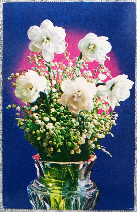 1975 Narcises un maijpuķītes 9x14 cm ziedi PSRS pastkarte  