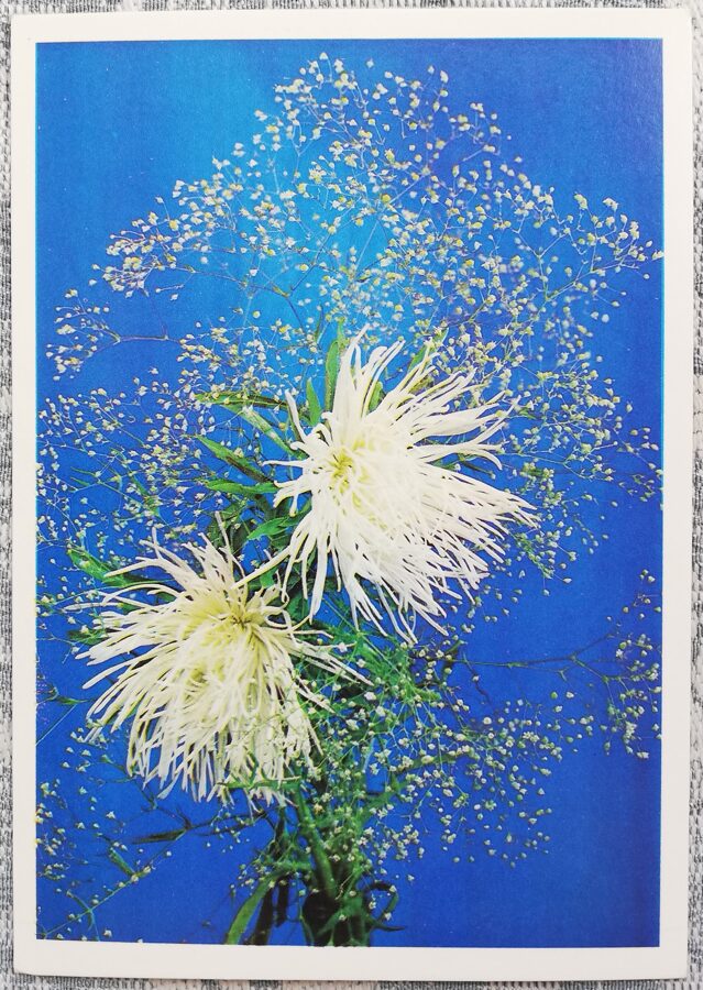 1975 Baltie ziedi 10,5x15 cm ziedi pastkarte PSRS  