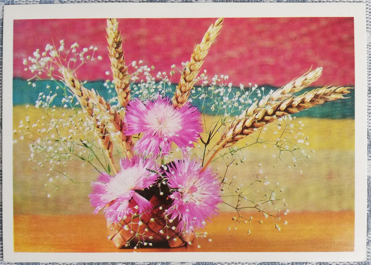 1975 Ziedi un kvieši 15x10,5 cm ziedi pastkarte PSRS  