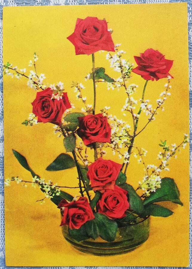 1975 Sarkanas rozes 10,5x15 cm ziedi pastkarte PSRS  