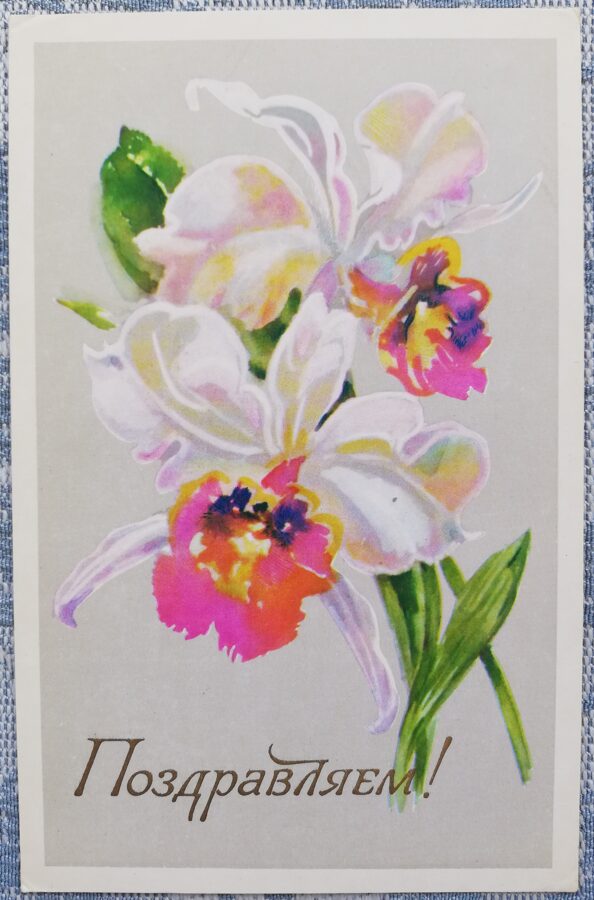 "Congratulations!" 1975 Orchids 9x14 cm USSR postcard  