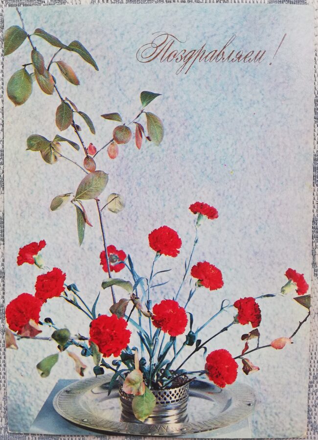 "Congratulations!" 1976 Red carnations 10.5x15 cm USSR postcard