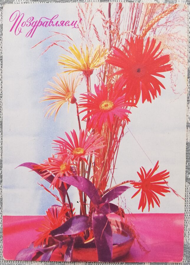 "Congratulations!" 1977 Flowers 10.5x14 cm USSR postcard  