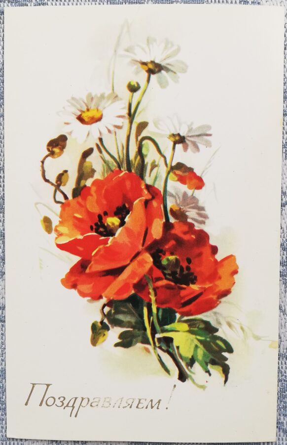 "Congratulations!" 1978 Poppies and daisies 9x14 cm USSR postcard  