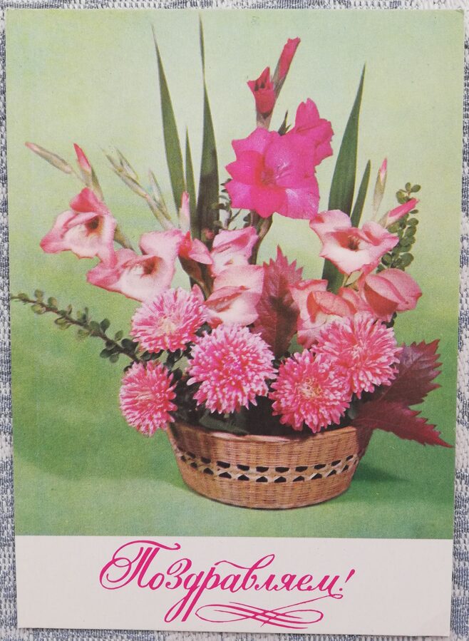 "Congratulations!" 1979 Gladiolus and asters 10.5x15 cm USSR postcard  