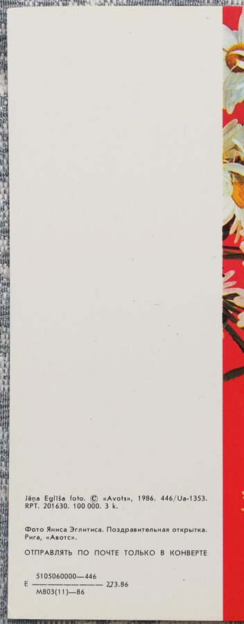 Margrietiņas 1986 ziedi 15x5 cm PSRS pastkarte    