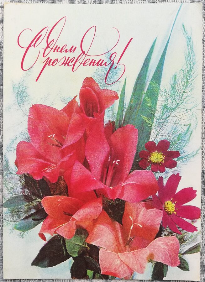 Daudz laimes dzimšanas dienā 1977 Gladiolas 10,5x15 cm PSRS pastkarte  