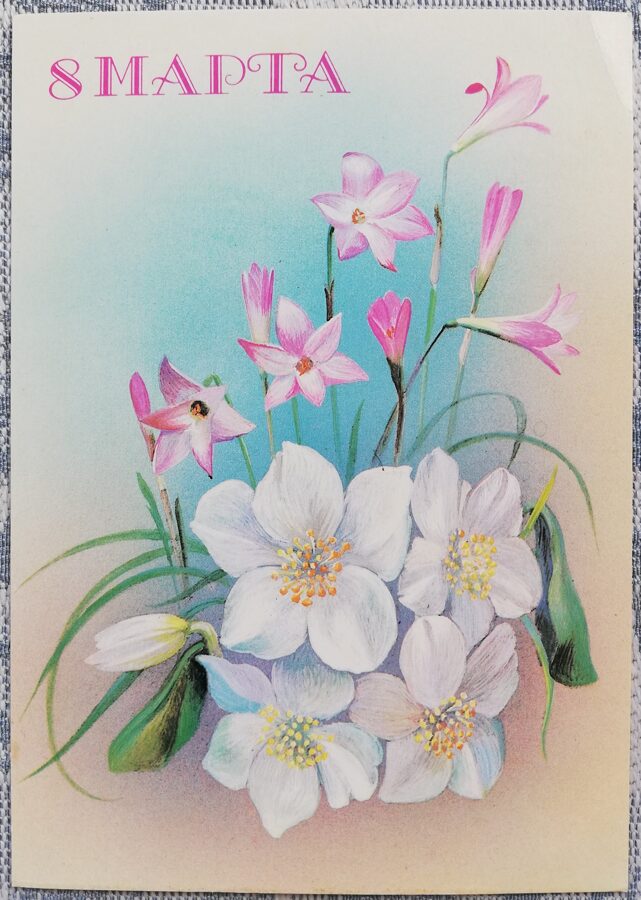 8 марта 1987 Цветы 10,5x15 см открытка СССР  