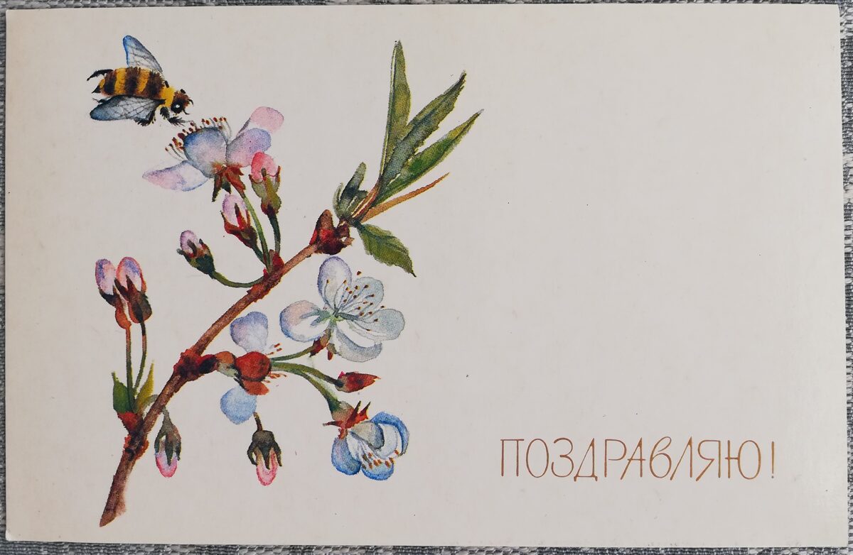Congratulations! 1988 Bee on an apple tree 14x9 cm USSR postcard  