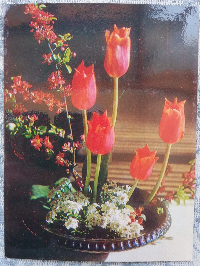 Tulpes 1978 ziedi 10x13,5 cm Lietuvas pastkarte  