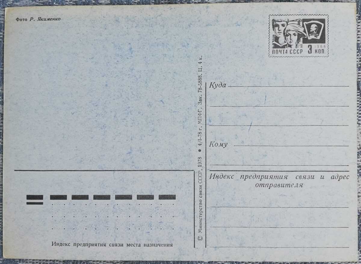 Narcises 1978 ziedi 10,5x15 cm PSRS pastkarte   