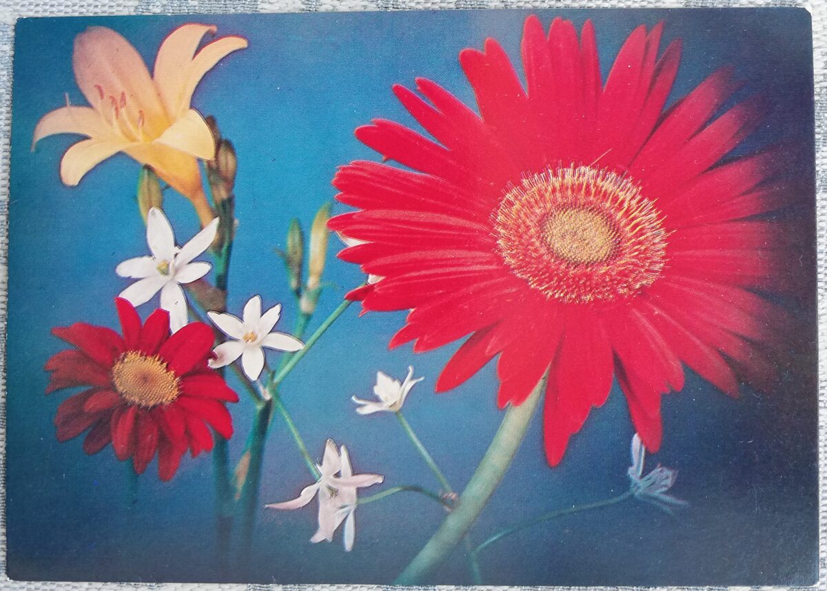 Ziedu kompozīcija 1978 ziedi 15x10,5 cm PSRS pastkarte  
