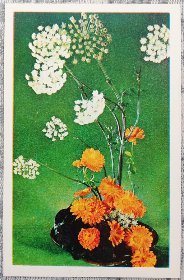 Kliņģerīte 1979 ziedi 9x14 cm PSRS pastkarte  