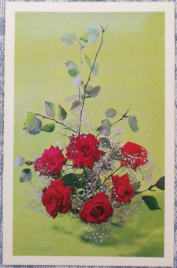 "Congratulations!" Roses 1979 flowers 9x14 cm USSR postcard   